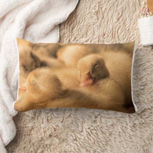 Camaraderie Kussen (Deken)