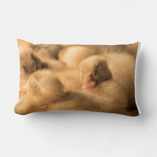 Camaraderie Kussen (Voorkant)