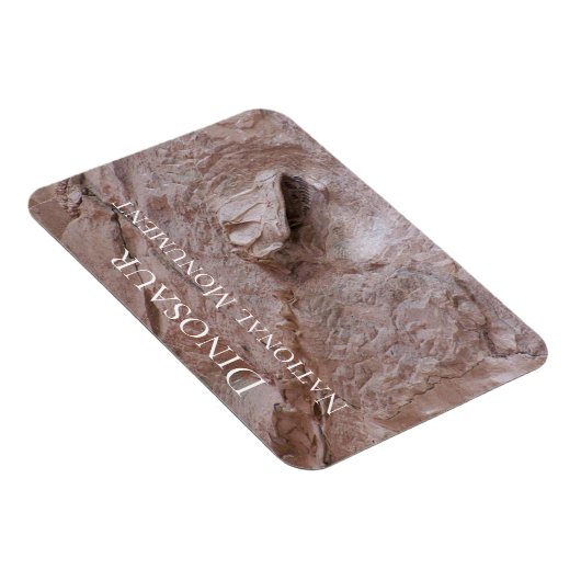 Camarasaurus-schedel en skelet, dinosaurus, Utah Magneet (Rechterzijde)