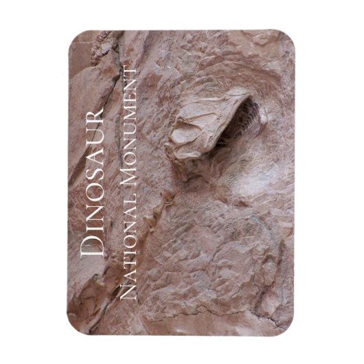 Camarasaurus-schedel en skelet, dinosaurus, Utah Magneet (Verticaal)