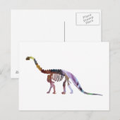 camarasaurus skelet briefkaart (Voorkant / Achterkant)
