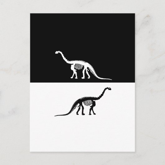 camarasaurus skelet briefkaart (Voorkant)