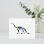 camarasaurus skelet briefkaart (Staand voorkant)