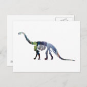 camarasaurus skelet briefkaart (Voorkant / Achterkant)
