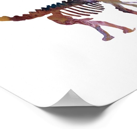 camarasaurus skelet poster (Hoek)