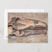 Camarasaurus Skull - Dinosaur National Monument Briefkaart (Voorkant / Achterkant)
