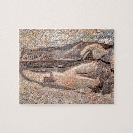 Camarasaurus Skull - Dinosaur National Monument Legpuzzel (Horizontaal)