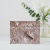 Camarasaurus Skull, Skeleton, Dinosaur NTL. Park Briefkaart (Staand voorkant)