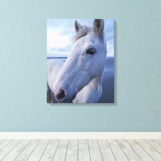 Camargue Horse Canvas Afdruk (Insitu (Houten vloer))