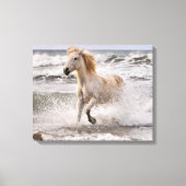 Camargue Horse die geen Surf meer heeft Canvas Afdruk (Voorkant)