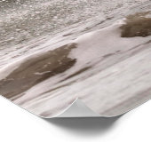 Camargue Horse die geen Surf meer heeft Poster (Hoek)