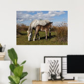 Camargue Horse Foal met moeder Poster (Thuiskantoor)