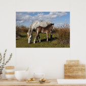 Camargue Horse Foal met moeder Poster (Keuken)