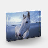 Camargue Horse Fotoblokken (Links)