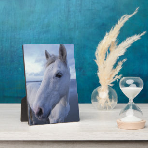 Camargue Horse Fotoplaat