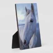 Camargue Horse Fotoplaat (Zijkant)