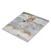 Camargue Horse in het Surf Tegeltje (Zijkant)