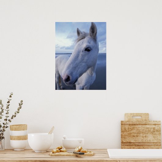 Camargue Horse Poster (Keuken)