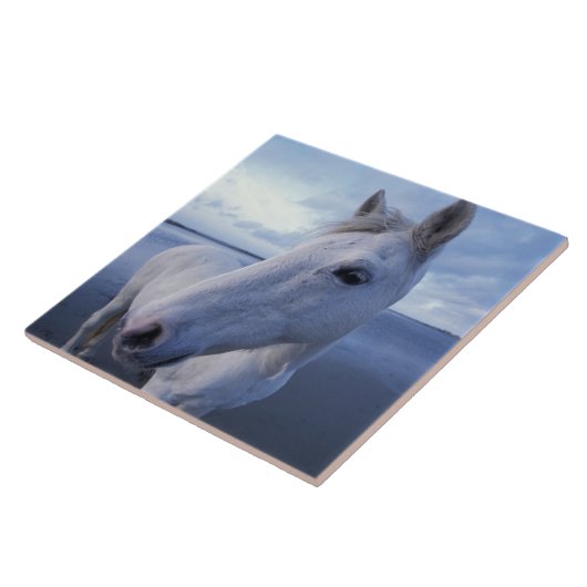 Camargue Horse Tegeltje (Zijkant)