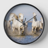 Camargue Horses (Voorkant)