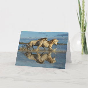 Camargue Horses and Reflection, Southern France Kaart
