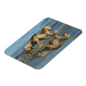 Camargue Horses and Reflection, Southern France Magneet (Linkerzijde)