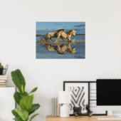 Camargue Horses and Reflection, Southern France Poster (Thuiskantoor)