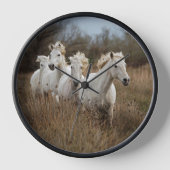 Camargue Horses die lopen (Voorkant)