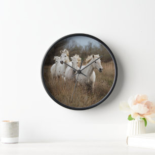 Camargue Horses die lopen