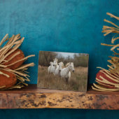 Camargue Horses die lopen Fotoplaat (Zijkant)