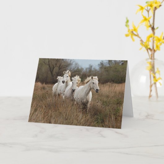 Camargue Horses die lopen Kaart (Gele Bloem)