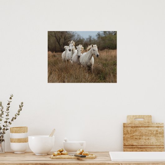Camargue Horses die lopen Poster (Keuken)
