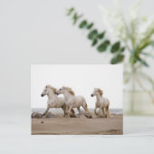 Camargue Horses die op het strand lopen Briefkaart (Staand voorkant)