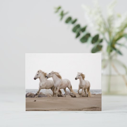 Camargue Horses die op het strand lopen Briefkaart (Staand voorkant)
