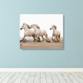 Camargue Horses die op het strand lopen Canvas Afdruk (Insitu (Houten vloer))