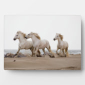 Camargue Horses die op het strand lopen Fotoplaat (voorkant)