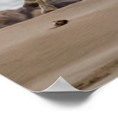 Camargue Horses die op het strand lopen Poster (Hoek)