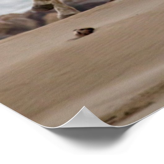 Camargue Horses die op het strand lopen Poster (Hoek)