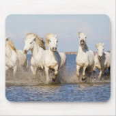 Camargue Horses Muismat (Voorkant)