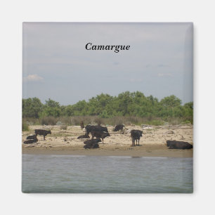 Camargue - magneet