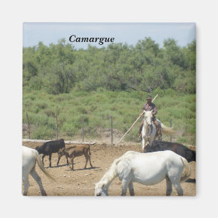 Camargue - magneet