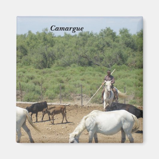 Camargue - magneet (Voorkant)