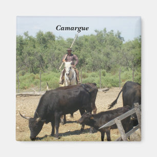 Camargue - magneet