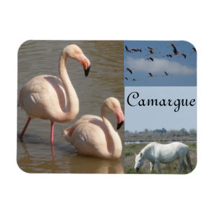 Camargue Magnet Magneet