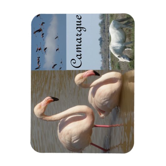 Camargue Magnet Magneet (Verticaal)