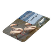 Camargue Magnet Magneet (Linkerzijde)