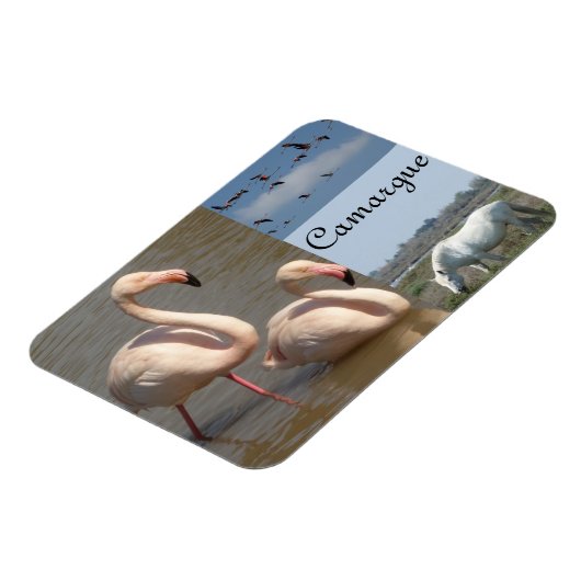 Camargue Magnet Magneet (Linkerzijde)