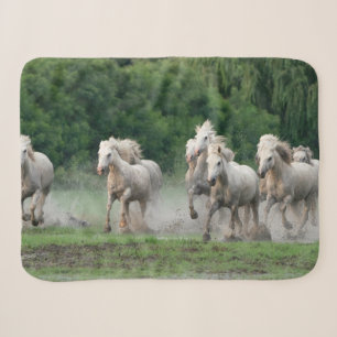 Camargue-paarden die in het water rennen sherpa deken