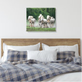 Camargue-paarden die in water lopen canvas afdruk (Insitu (Slaapkamer))