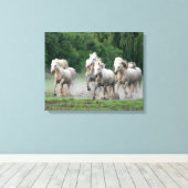 Camargue-paarden die in water lopen canvas afdruk (Insitu (Houten vloer))